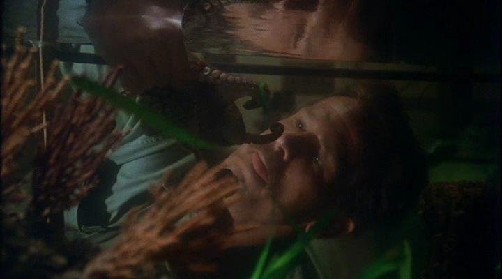 Кадр из фильма Консервный ряд / Cannery Row (1982)