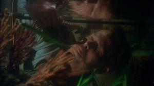 Кадры из фильма Консервный ряд / Cannery Row (1982)
