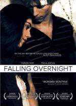 Накануне вечером / Falling Overnight (2011)