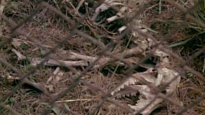 Кадры из фильма Выродок / Humongous (1982)