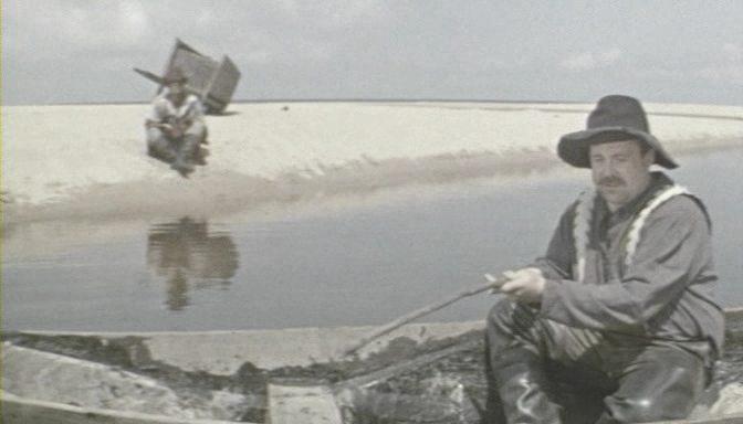 Кадр из фильма Сказка, рассказанная ночью (1982)