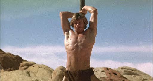 Кадр из фильма Повелитель зверей / The Beastmaster (1982)