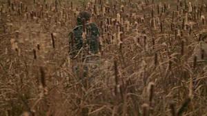 Кадры из фильма Влюблен по собственному желанию (1982)