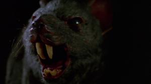Кадры из фильма Крысы / Deadly Eyes (1982)