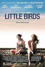 Спокойной ночи, Луна / Little Birds (2011)