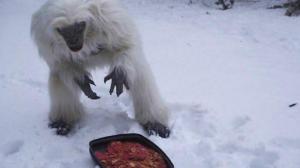 Кадры из фильма Охота на снежного человека / Snow Beast (2011)