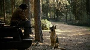 Кадры из фильма Бешеные / Kalevet (2010)