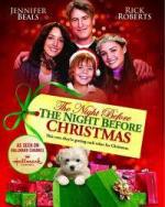 Рождественские приключения семейства Фоксов / The Night Before the Night Before Christmas (2010)