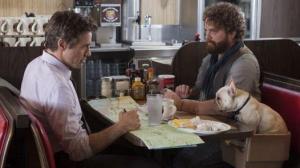 Кадры из фильма Впритык / Due Date (2010)