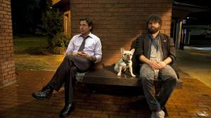 Кадры из фильма Впритык / Due Date (2010)
