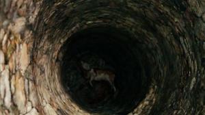 Кадры из фильма Зверское / Atrocious (2010)