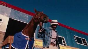 Кадры из фильма Чемпион / Secretariat (2010)