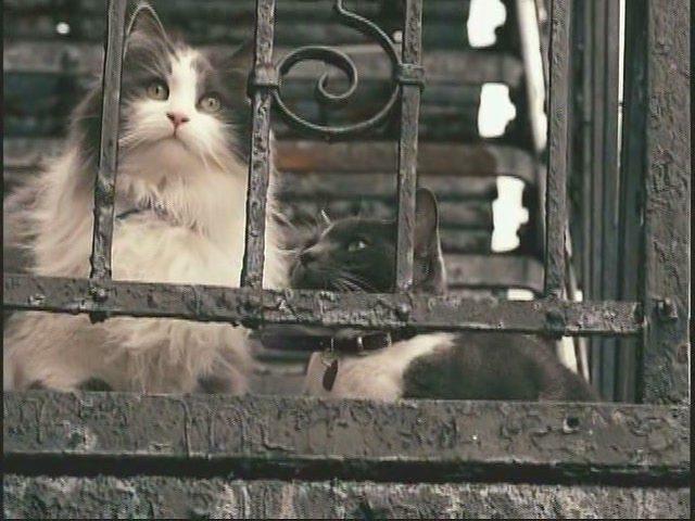 Кадр из фильма Хорошие соседи / Good Neighbours (2010)