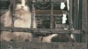 Кадры из фильма Хорошие соседи / Good Neighbours (2010)