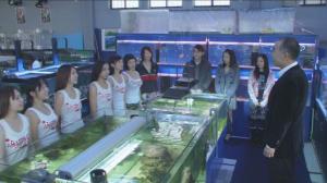 Кадры из фильма Холодная рыба / Tsumetai nettaigyo (Cold Fish) (2010)