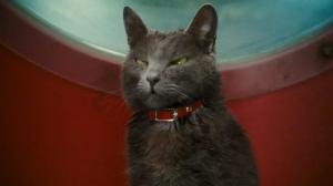 Кадры из фильма Кошки против собак: Месть Китти Галор / Cats & Dogs: The Revenge of Kitty Galore (2010)