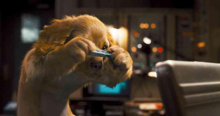 Кадр из фильма Кошки против собак: Месть Китти Галор / Cats & Dogs: The Revenge of Kitty Galore (2010)