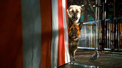 Кадр из фильма Кошки против собак: Месть Китти Галор / Cats & Dogs: The Revenge of Kitty Galore (2010)