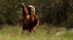 Кадры из фильма Приключение на ранчо «Гора гризли» / Horse Crazy 2: The Legend of Grizzly Mountain (2010)
