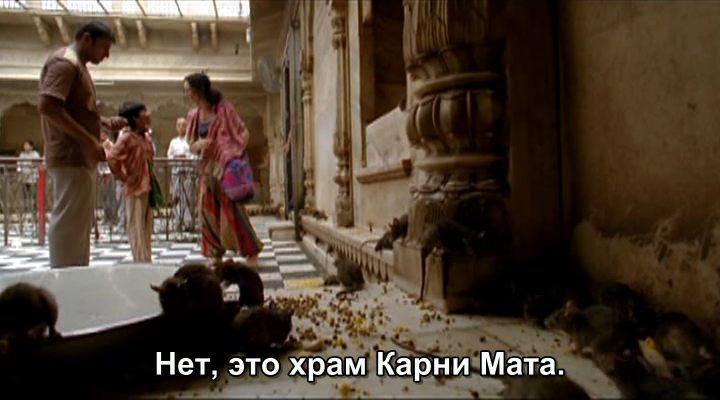 Кадр из фильма Меня зовут Калам / I Am Kalam (2010)