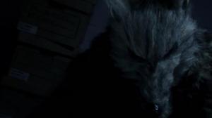 Кадры из фильма Человек покрытый шерстью / The Furred Man (2010)