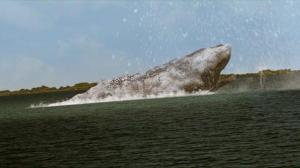 Кадры из фильма Моби Дик: Охота на монстра / 2010: Moby Dick (2010)