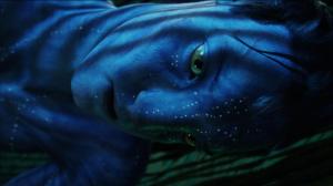 Кадры из фильма Аватар / Avatar (2009)