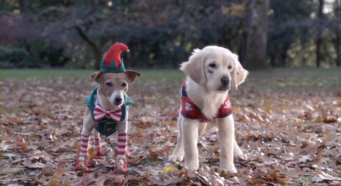 Кадр из фильма Рождественская пятерка / Santa Buddies (2009)