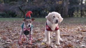 Кадры из фильма Рождественская пятерка / Santa Buddies (2009)