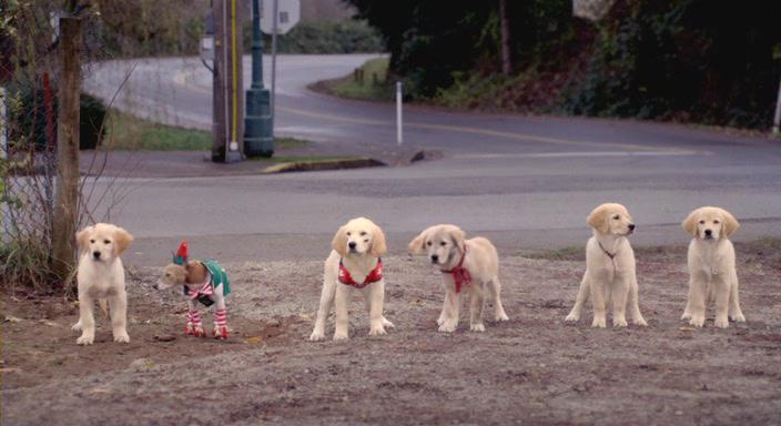 Кадр из фильма Рождественская пятерка / Santa Buddies (2009)
