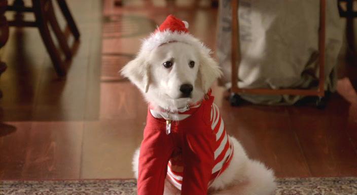 Кадр из фильма Рождественская пятерка / Santa Buddies (2009)