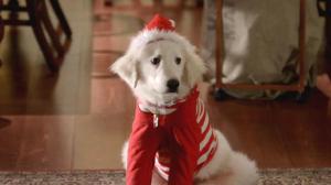 Кадры из фильма Рождественская пятерка / Santa Buddies (2009)