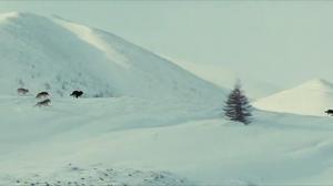 Кадры из фильма Волк / Sea Wolf (2009)