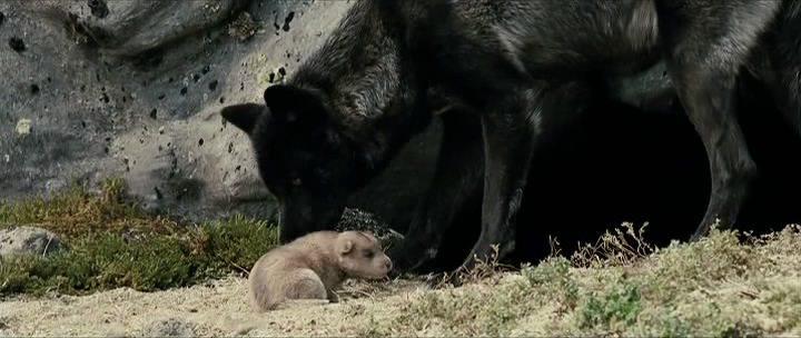 Кадр из фильма Волк / Sea Wolf (2009)