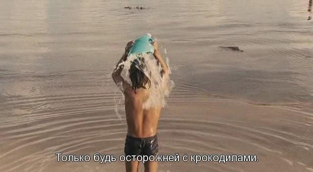 Кадр из фильма К морю / Alamar (2009)