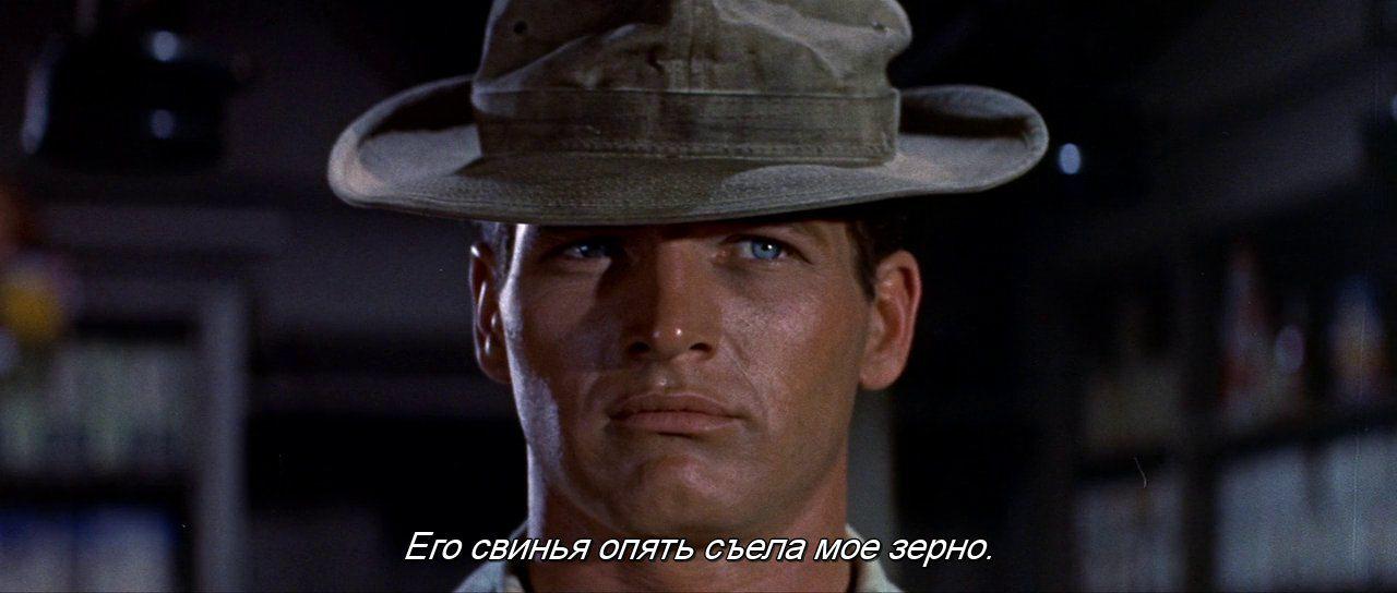 Кадр из фильма Долгое жаркое лето / The Long, Hot Summer (1958)