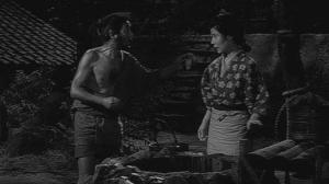Кадры из фильма Ниндзя / Shinobi no mono (1962)