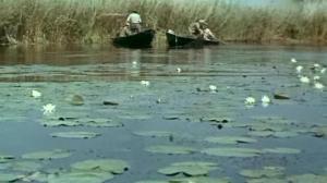 Кадры из фильма Голубой патруль (1974)
