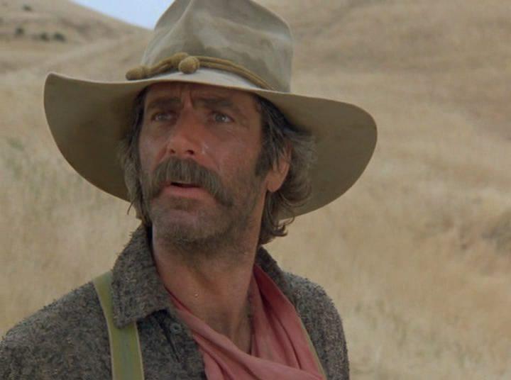 Кадр из фильма Всадники тени / The Shadow Riders (1982)