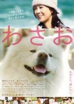 Васао / Wasao (2011)