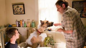 Кадры из фильма Мармадюк / Marmaduke (2010)