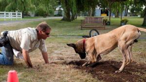 Кадры из фильма Мармадюк / Marmaduke (2010)