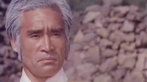 Кадры из фильма Кулак золотой обезьяны / Fist of Golden Monkey (1983)