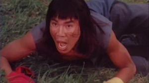 Кадры из фильма Кулак золотой обезьяны / Fist of Golden Monkey (1983)