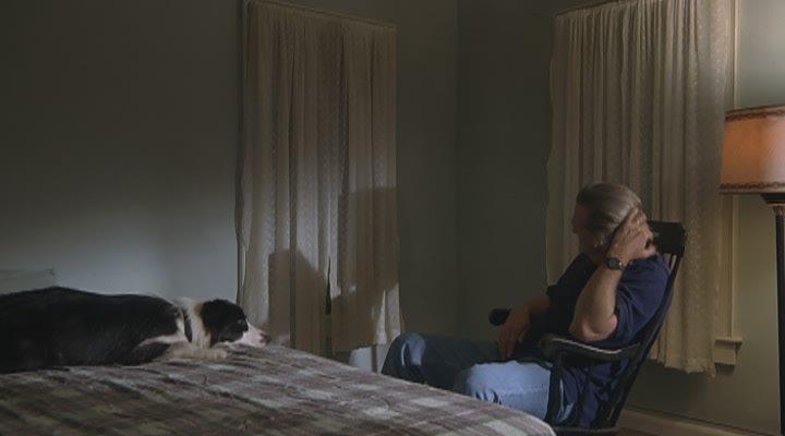 Кадр из фильма Год собаки / A Dog Year (2009)