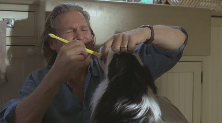 Кадр из фильма Год собаки / A Dog Year (2009)
