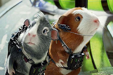 Кадр из фильма Миссия Дарвина / G-Force (2009)