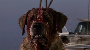 Кадры из фильма Куджо / Cujo (1983)