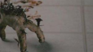 Кадры из фильма Заноза / Splinter (2009)