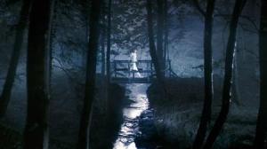 Кадры из фильма Антихрист / Antichrist (2009)